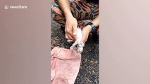 Heartwarming moment Malaysian fireman revives drowning kitten with CPR