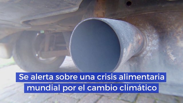Se alerta sobre una crisis alimentaria mundial por el cambio climático