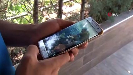 Tekne turu sırasında oltaya takılan 3 metrelik köpekbalığı turistleri şoke etti