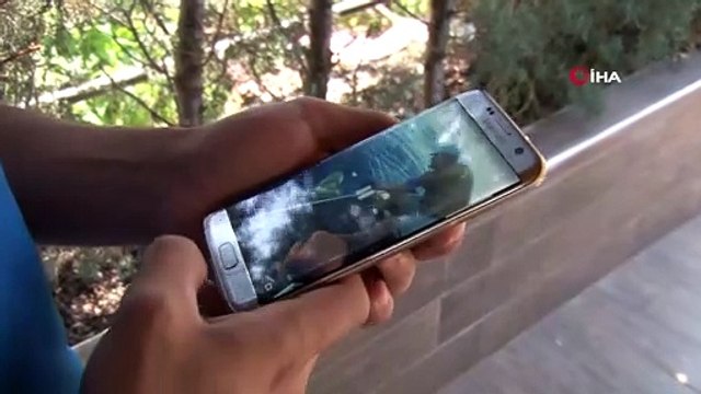 Tekne turu sırasında oltaya takılan 3 metrelik köpekbalığı turistleri şoke etti