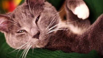 연수출장안마 -후불1ØØ%ョOiOW2671W8135｛카톡LA369｝ 연수전지역출장마사지 연수오피걸 연수출장안마 연수출장마사지 연수출장안마 연수출장콜걸샵안마 연수출장아로마 연수출장⾬㍗⊋