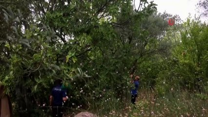 İncir toplarken boynundan asılan hayatını kaybetti