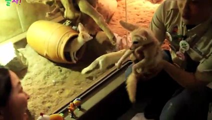 울주출장안마 -후불100%ョOiOE7685E6221｛카톡PP888｝  울주전지역출장안마 울주오피걸 울주출장마사지 울주안마 울주출장마사지 울주콜걸샵∓ゞ⊎