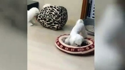 인제출장안마 -후불100%ョØ7ØM7575M0054｛카톡OYO78｝  인제전지역출장안마 인제오피걸 인제출장마사지 인제안마 인제출장마사지 인제콜걸샵⊓⻜≢