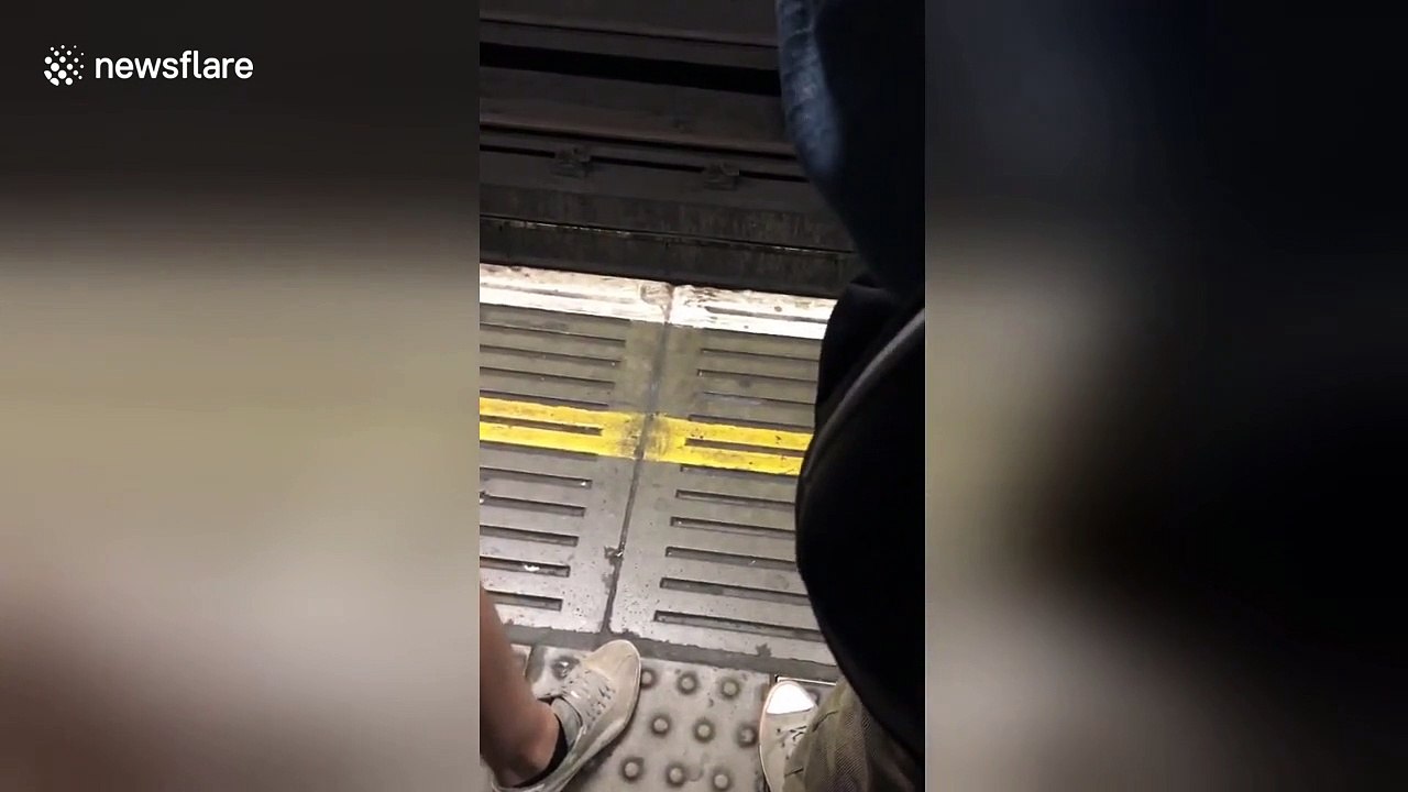 Let's get ready to travel! London subway announcer does glorious boxing style announcements