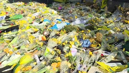 Emiliano Sala se expuso a dosis "potencialmente mortales" de monóxido de carbono