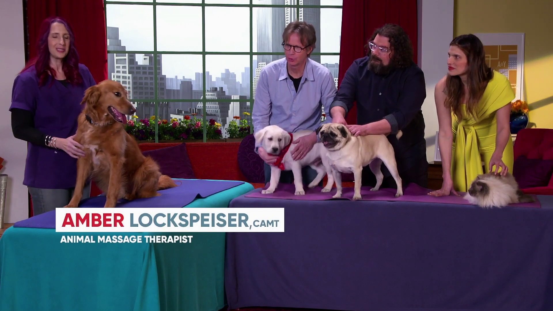 ⁣The Secret Life Of Pets 2 movie clip - Pet Massage