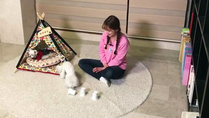 부산출장안마 -후불1ØØ%ョØ7ØE7575E0062｛카톡DK654｝ 부산전지역출장마사지 부산오피걸 부산출장안마 부산출장마사지 부산출장안마 부산출장콜걸샵안마 부산출장아로마부산출장샵◜∵◔