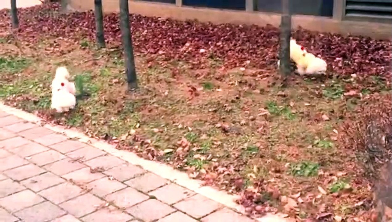 당진출장안마 -후불1ØØ%ョØ7ØE7575E0069｛카톡RD654｝ 당진전지역출장마사지 당진오피걸 당진출장안마 당진출장마사지 당진출장안마 당진출장콜걸샵안마 당진출장아로마당진출장샵≊㌟◎