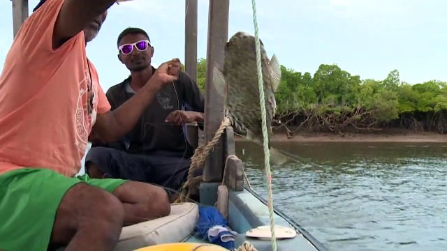 Kenya : l'archipel de Lamu menacé par un projet de centrale à charbon