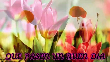 #TusNoticiasEltiempoHoy AEMET Jueves 15 de Agosto de 2019