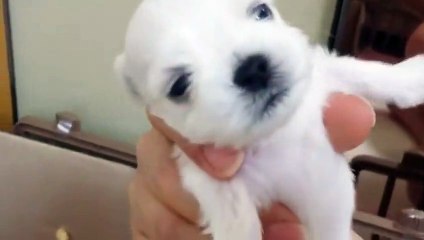 부여출장안마 -후불100%ョOiOE2997E5327｛카톡USA59｝  부여전지역출장안마 부여오피걸 부여출장마사지 부여안마 부여출장마사지 부여콜걸샵≡∞≔