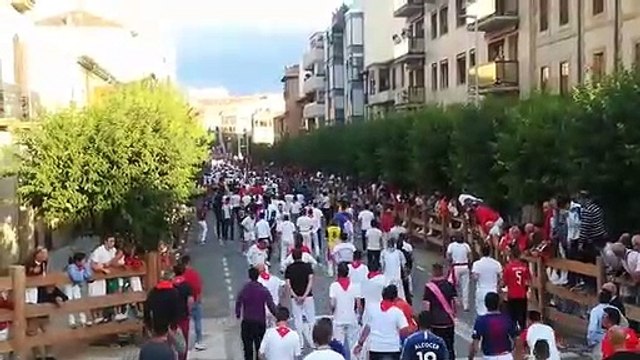 Primer encierro de Tafalla 2019 con ganadería Las Monjas