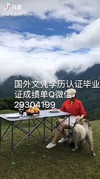 国外学位学历认证Q微信29304199 加拿大UC毕业证成绩单Diploma卡尔加里大学毕业证成绩单公证学位证书录取通知书雅思成绩单offer /UC文凭,教育部使馆留信认证,〈诚招代理〉University of calgary