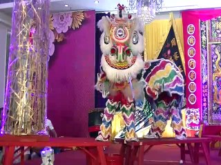 Human Mobile Stage 131D, 100th Anniversary Death of Master Chau Lung, 周龙宗师逝世壹佰周年, Lion Dance Kung Fu
