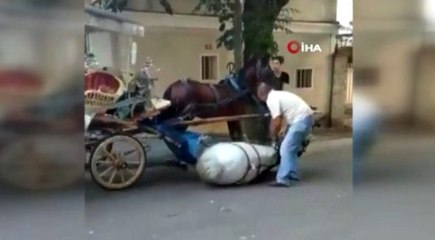 Faytona sürülen atın içler acısı hali kamerada