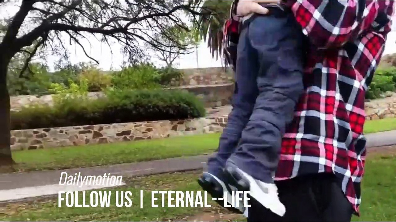 Video of birds and animals attacking humans