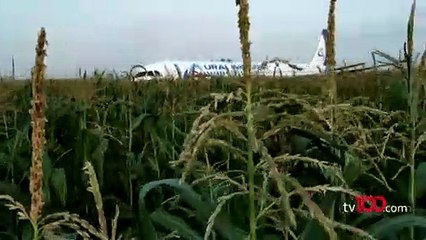 Martı sürüsüne çarptı ve..!