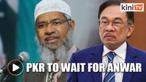 PKR doesn't have a position on Zakir Naik, to wait for Anwar