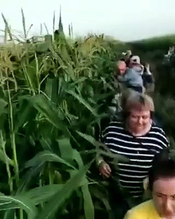 Un Airbus A321 atterrit en urgence dans un champ de maïs dans la région de Moscou après avoir percuté une volée d’oiseaux - VIDEO