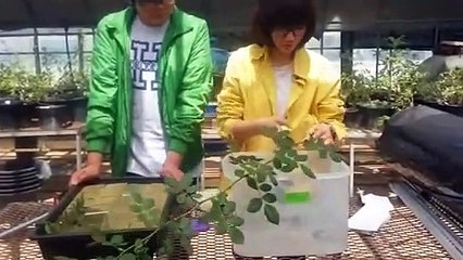 홍천출장안마 -후불100%ョOiOW2671W8135｛카톡LA369｝  홍천전지역출장안마 홍천오피걸 홍천출장마사지 홍천안마 홍천출장마사지 홍천콜걸샵⻋㌿∏