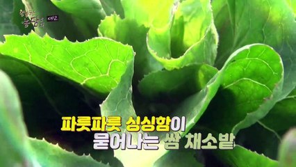 세상에서 제일 행복한 쌈 구경 하실래요?_영농한 농담 13회 예고