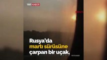 Rusya'da kuş sürüsüne çarpan uçak acil iniş yaptı