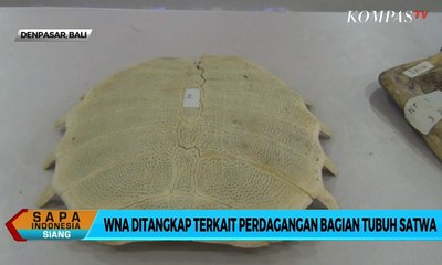 Kasus Perdagangan Tubuh Satwa Langka, WNA Ditangkap