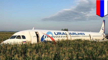 Hero pilot makes crash landing after bird strike in Russia