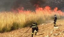 Palermo - Incendio in provincia, gli interventi dei Vigili del Fuoco (16.08.19)