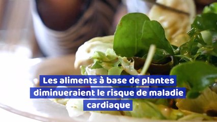 Les aliments à base de plantes diminueraient le risque de maladie cardiaque