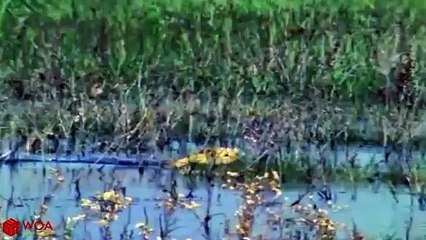 산삼동출장안마 -후불1ØØ%ョØ7ØE7575E0054｛카톡USA16｝ 산삼동전지역출장마사지 산삼동오피걸 산삼동출장안마 산삼동출장마사지 산삼동출장안마 산삼동출장콜걸샵안마 산삼동출장아로마 산삼동출장∹≖ち