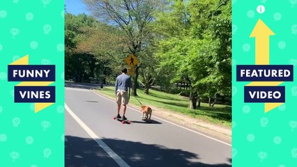 TRY NOT TO LAUGH - The Funniest & Cutest Animals of the week! U8