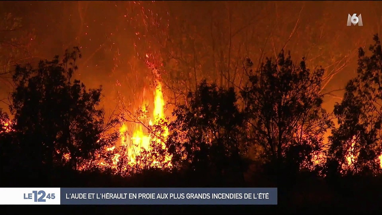 Incendie près de Carcassonne : 900 hectares détruits, pas de victime