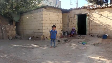 Suriyeli Zahide nine 7 torunuyla yaşam mücadelesi veriyor - ŞANLIURFA