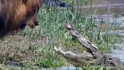 평창출장안마 -후불100%ョØ1ØM7685M6221｛카톡LTE16｝  평창전지역출장안마 평창오피걸 평창출장마사지 평창안마 평창출장마사지 평창콜걸샵㌷㌺◯