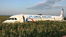 Moskova'da kuş sürüsüne çarpan yolcu uçağı mısır tarlasına acil iniş yaptı: 23 yaralı