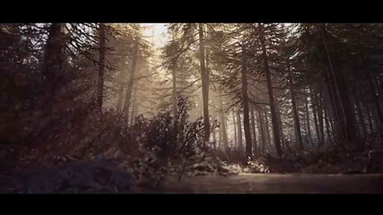 Blair Witch - Une promenade en 4K à travers les bois