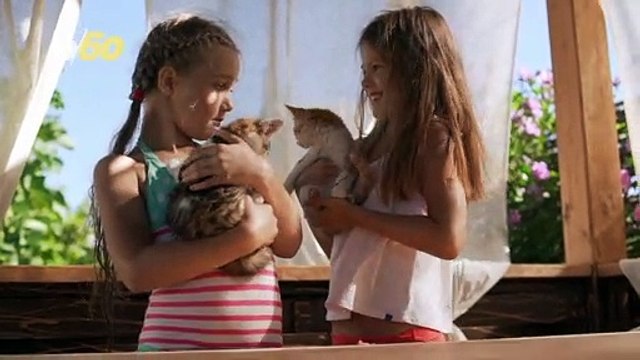 Allergic to Cats? New Vaccine May Ease Allergies