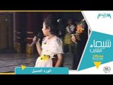 الورد جميل - شيماء الشايب / Shaimaa El Shayeb - Elward Gameel