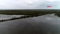 SAMSUN Kızılırmak Deltası UNESCO sürecine hazırlanıyor