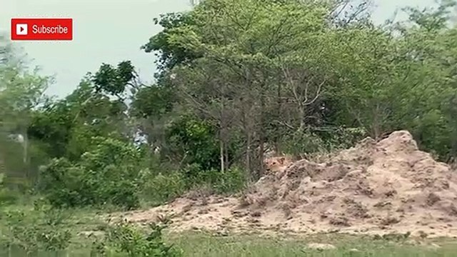 나주출장안마 -후불100%ョOiOE2997E5327｛카톡USA59｝ 나주전지역출장안마 나주오피걸 나주출장마사지 나주안마 나주출장마사지 나주콜걸샵㌻◡㌰