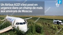 Russie : un avion de ligne atterrit dans un champs de maïs
