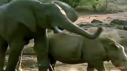 인천출장안마 -후불100%ョO7OV5222V6739｛카톡CS69｝  인천전지역출장안마 인천오피걸 인천출장마사지 인천안마 인천출장마사지 인천콜걸샵⾪㌥⻪