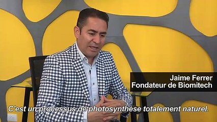 Mexico installe des 'arbres robots' contre la pollution