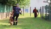 VIDEO. Blois : des chiens policiers très entraînés