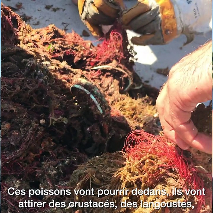 Episode 4. Ces Azuréens se battent pour une Méditerranée propre (4/4)