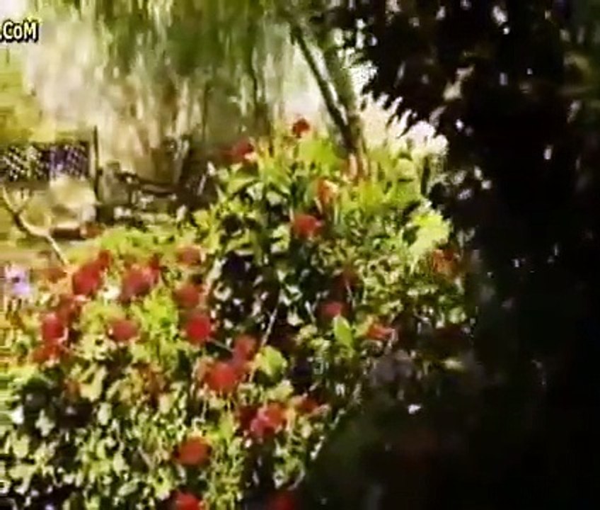 اقوي اغنية للرحيل