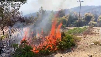 Grèce : l'incendie sur l'île d'Eubée "contenu"