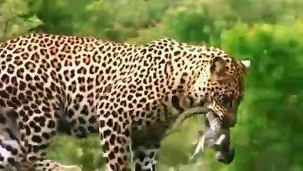 무교동출장안마 -후불1ØØ%ョØ1ØM7685M6221｛카톡LTE16｝ 무교동전지역출장마사지 무교동오피걸 무교동출장안마 무교동출장마사지 무교동출장안마 무교동출장콜걸샵안마 무교동출장아로마무교동출장샵≢ひ㌎